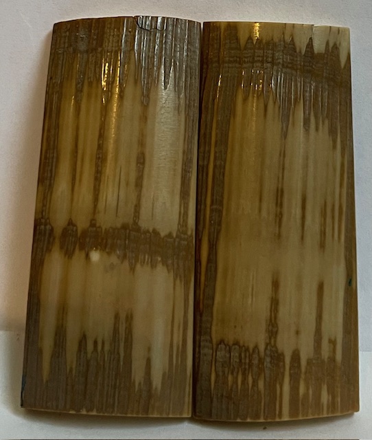  MAMMOTH IVORY SCALES          2-7/16 X 1 X 5/32