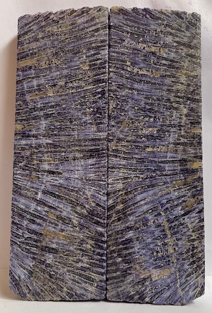FOSSIL CORAL SCALES             5-1/4 X 1-11/16 X 5/16