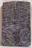 FOSSIL CORAL SCALES             5-1/4 X 1-11/16 X 5/16