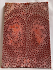 FOSSIL CORAL SCALES             5-3/16 X 1-13/16 X 1/4