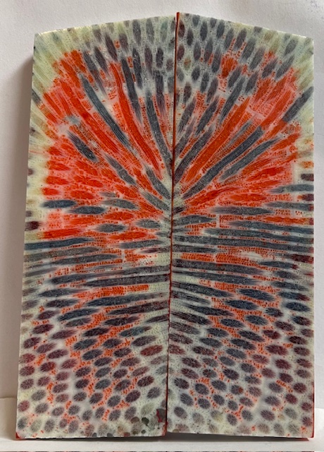 FOSSIL CORAL SCALES           4-1/2 tapers X 1-9/16 X 1/4