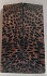 FOSSIL CORAL SCALES          3-5/8 X 1-1/8 X 1/8
