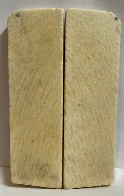FOSSIL CORAL SCALES               4-5/16 X 1-1/4 X 7/32