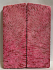FOSSIL CORAL SCALES               4-3/16 tapers X 1-9/16 X 3/16