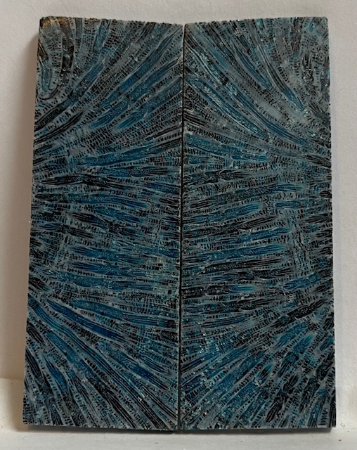 FOSSIL CORAL SCALES               3-3/16 X 1-1/8 X 1/8