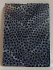 FOSSIL CORAL SCALES           2-15/16 X 1-1/16 X 1/8