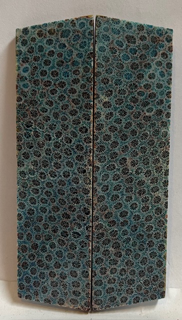 FOSSIL CORAL SCALES         3-5/8 X 1 X 1/8