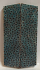 FOSSIL CORAL SCALES         3-5/8 X 1 X 1/8