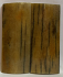 SWORDFISH BILL          3-1/2 X 1-7/16 X 1/8