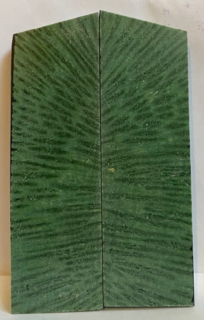 FOSSIL CORAL SCALES              5 tapers X 1-5/8 X 5/16