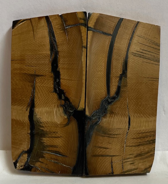 END GRAIN CUT MAMMOTH IVORY       2-5/8 X 1-1/4 X 1/8