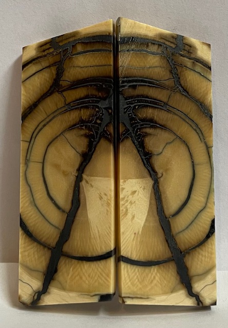END GRAIN CUT MAMMOTH IVORY      2-5/8 X 15/16 X 1/8