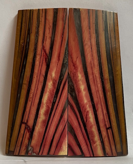 Parallel cut mammoth scales         3-7/16 X 1-1/4 X 1/8