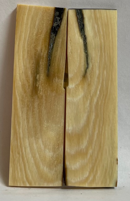 Parallel cut mammoth scales        3 X 7/8 X 1/16