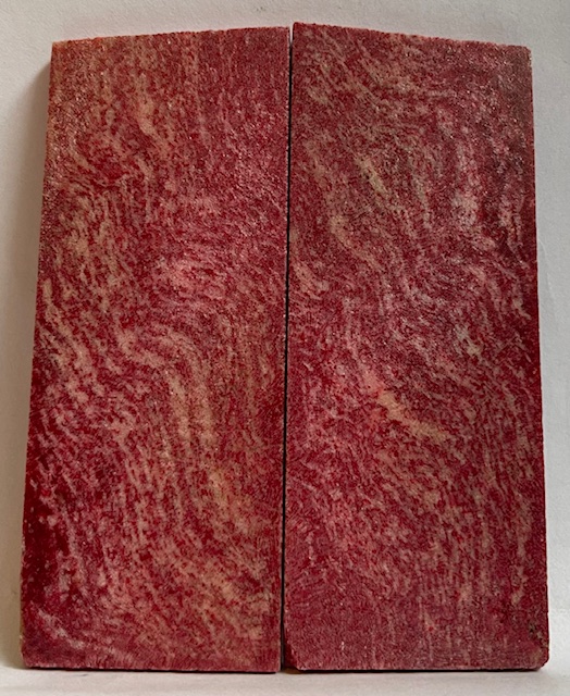FOSSIL CORAL SCALES              3-1/2 X 1-3/8 X 5/32