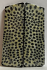 FOSSIL CORAL SCALES              3 tapers X 1 X 1/8