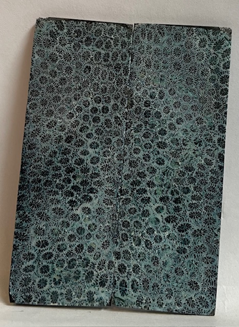 FOSSIL CORAL SCALES            3-1/4 X 1-1/8 X 1/16