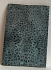 FOSSIL CORAL SCALES            3-1/4 X 1-1/8 X 1/16