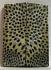 FOSSIL CORAL SCALES            3-1/16 X 1-1/8 X 1/8
