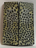 FOSSIL CORAL SCALES         3-1/8 X 1-1/8 X 1/8