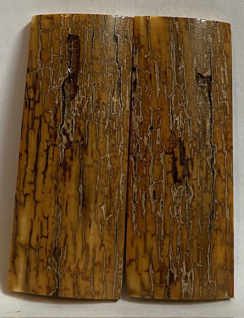  MAMMOTH IVORY SCALES        2-1/2 X 15/16 X 5/32
