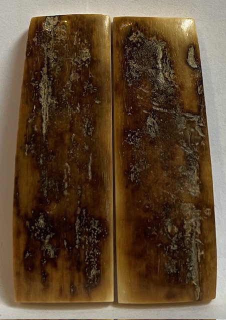  MAMMOTH IVORY SCALES        2-5/16 X 3/4 X 3/16