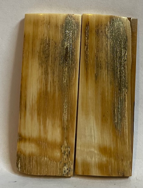  MAMMOTH IVORY SCALES         2-1/2 X 7/8 X 1/8