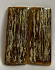  MAMMOTH IVORY SCALES         1-13/16 X 3/4 X 1/8