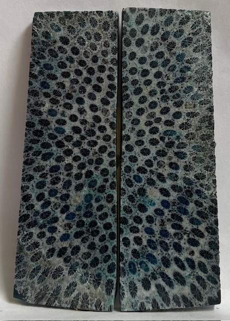FOSSIL CORAL SCALES              3-3/4 X 1-1/8 X 3/16