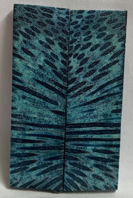 FOSSIL CORAL SCALES              3-1/2 X 1 X 1/8