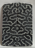 FOSSIL CORAL SCALES              3-7/16 X 1-1/4 X 1/8