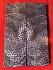 FOSSIL CORAL SCALES              5 X 1-5/8 X 1/4
