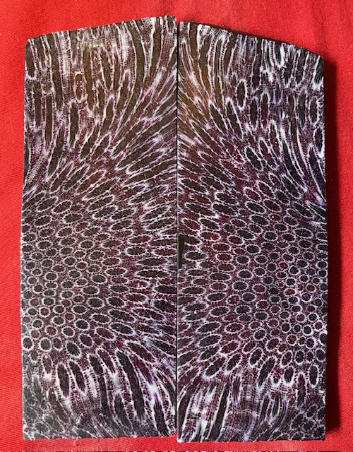 FOSSIL CORAL SCALES             5 tapers X 1-3/4 to 1-7/8 X 7/32 