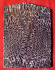 FOSSIL CORAL SCALES             5 tapers X 1-3/4 to 1-7/8 X 7/32 