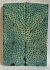 FOSSIL CORAL SCALES             4-7/16 X 1-9/16 X 1/4