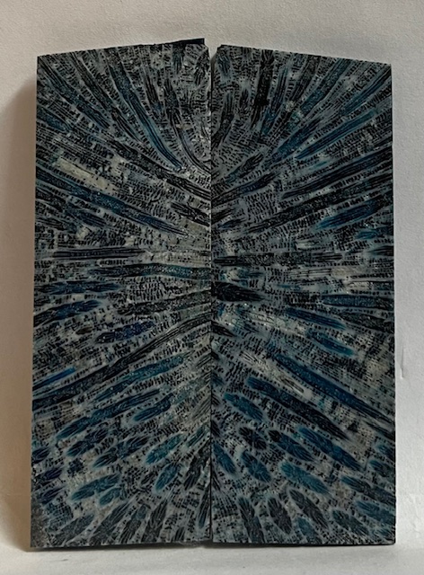 FOSSIL CORAL SCALES             3-3/16 X 1-3/16 X 1/8
