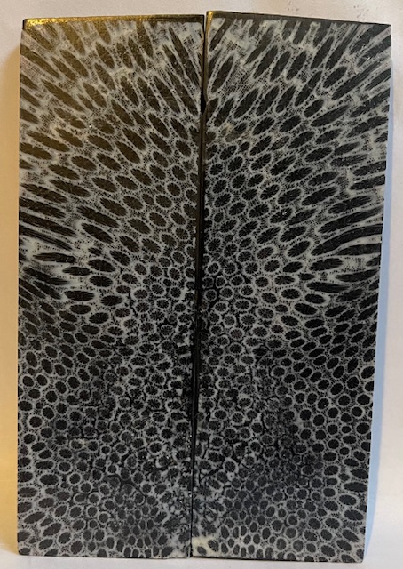 FOSSIL CORAL SCALES               5 X 1-5/8 X 1/4