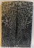 FOSSIL CORAL SCALES               5 X 1-5/8 X 1/4