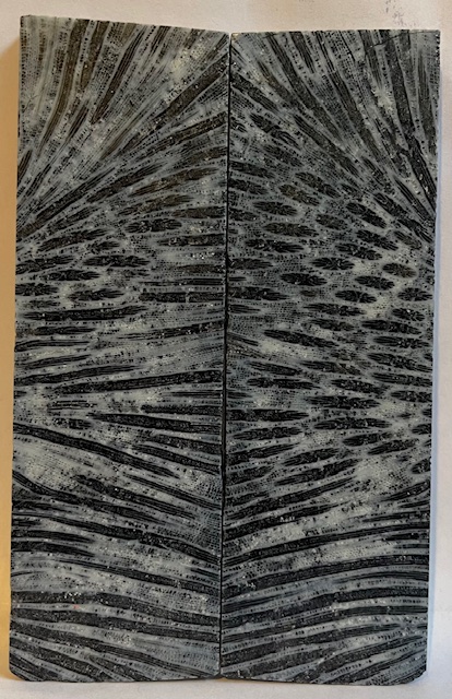 FOSSIL CORAL SCALES               4-7/8 X 1-1/2 X 1/4