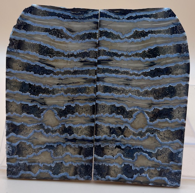 MAMMOTH TOOTH                   3-13/16 X 1-5/8 to 1-7/8 X 1/8
