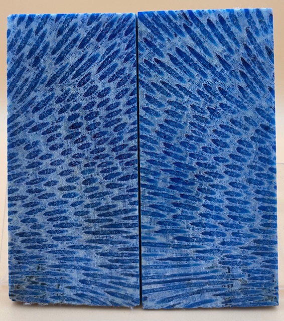 FOSSIL CORAL SCALES               4-1/2 X 1-7/8 X 1/4