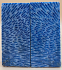 FOSSIL CORAL SCALES               4-1/2 X 1-7/8 X 1/4