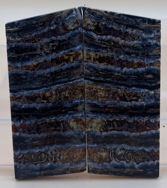 MAMMOTH TOOTH                   2-11/16 X 1-3/16 X 1/8