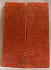 FOSSIL CORAL SCALES               5-1/4 X 1-3/4 to 1-7/8 X 1/4