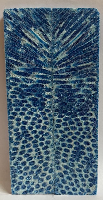 FOSSIL CORAL SCALES               5-1/8 X 1-3/16 X 3/16