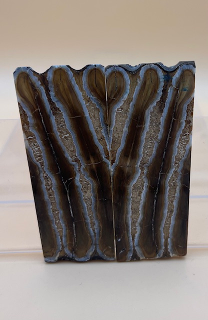 MAMMOTH TOOTH                   3 X 1-1/8 X 1/8