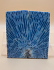 FOSSIL CORAL SCALES               3-15/!6 X 1-3/4 X 3/16