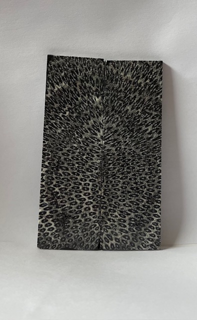 FOSSIL CORAL SCALES              4 X 1-1/4 X 1/8