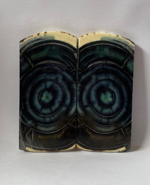 END GRAIN CUT MAMMOTH IVORY                  3-1/8 X 1-1/2 X 1/8
