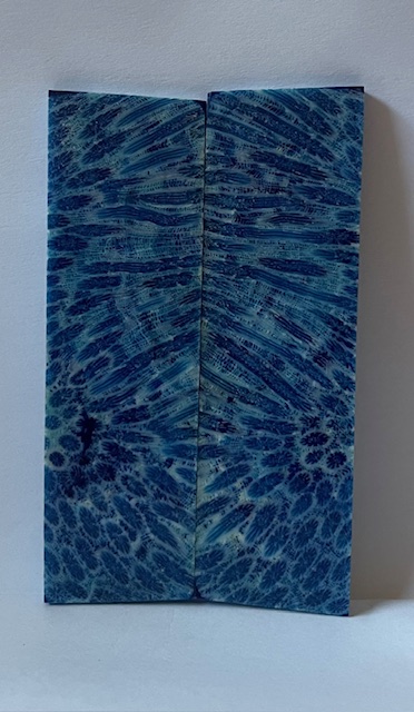 FOSSIL CORAL SCALES               3-9/16 X 1-1/16 X 1/8